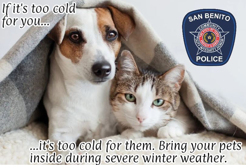 Winter weather animal warning